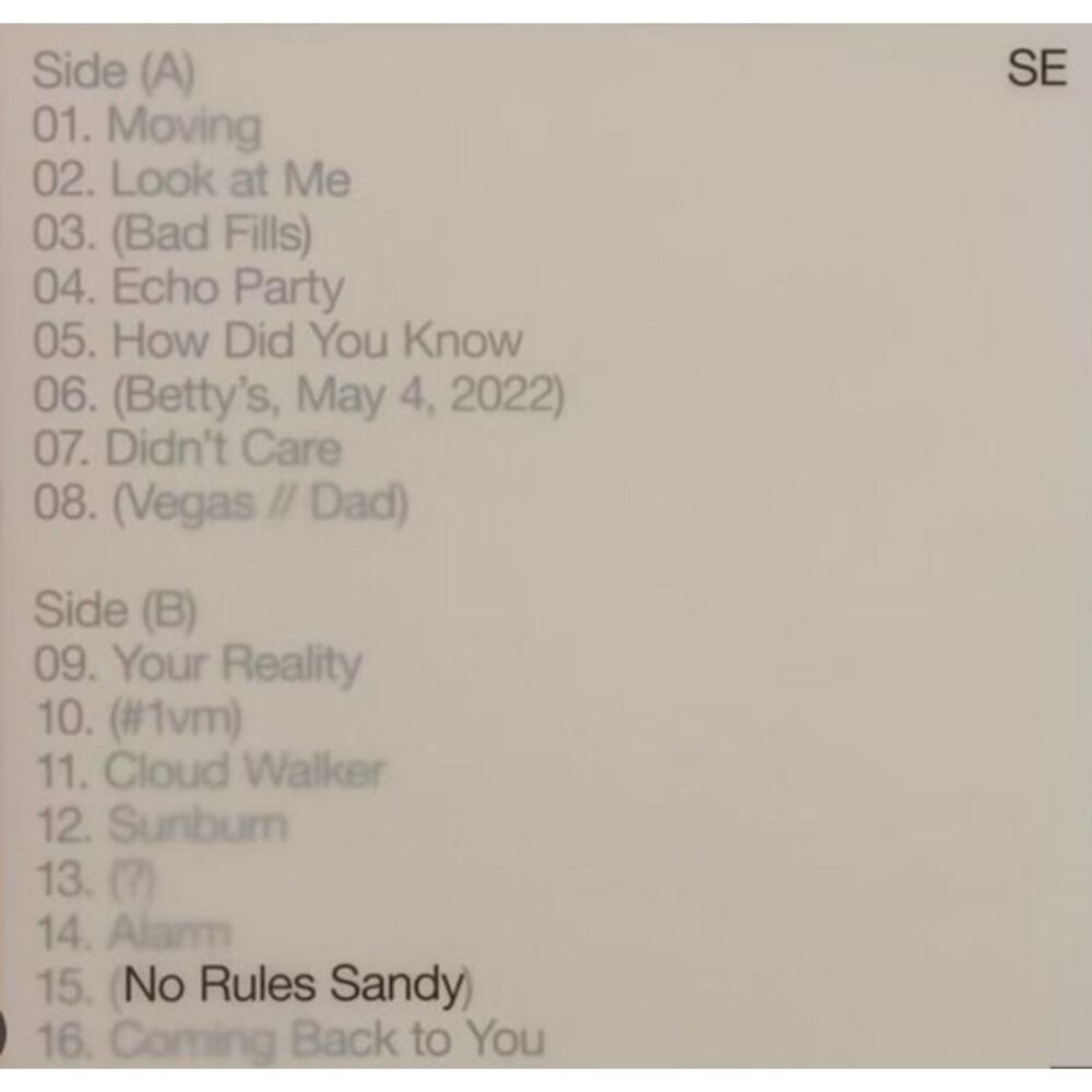 Sylvan Esso - No Rules Sandy  LP LP